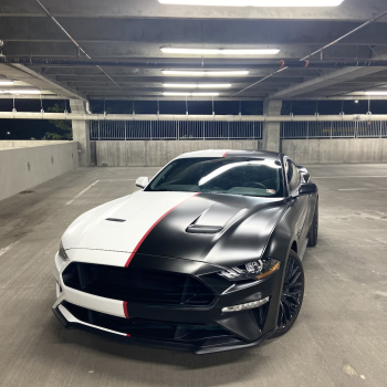 car wraps and car detailing