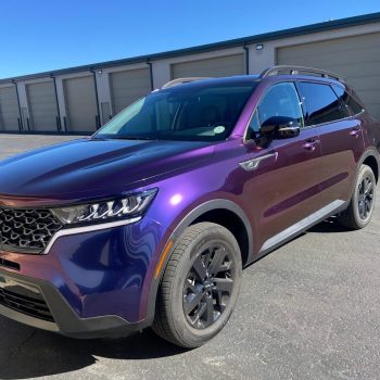 teckwraps chameleon purple